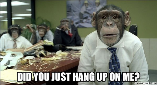 Cold Calling Monkey