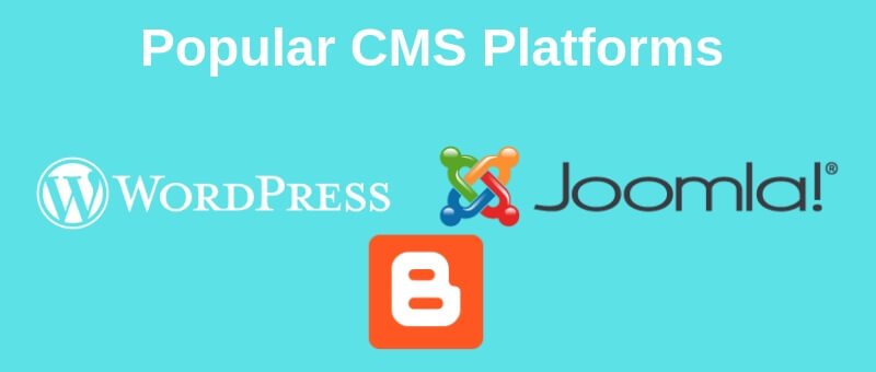 Popular CMS Platforms