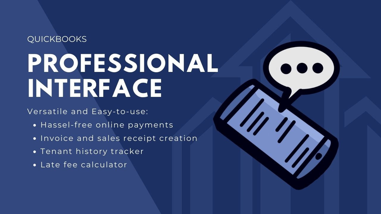 quickbooks professional interface